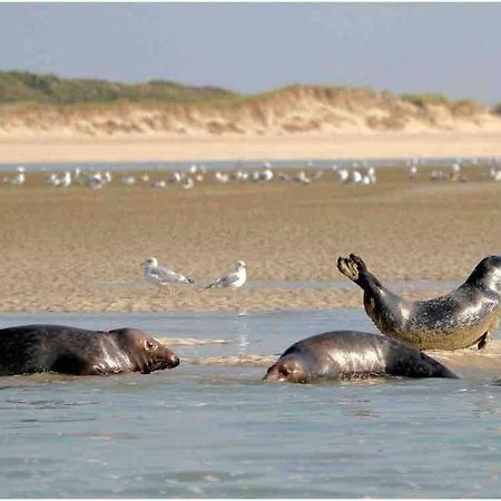 Escapade Berckoise, Berck Plage Exteriör bild