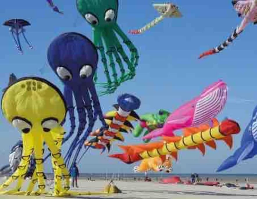 Escapade Berckoise, Berck Plage Exteriör bild