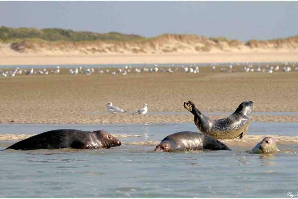 Escapade Berckoise, Berck Plage Exteriör bild
